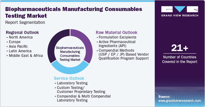 Global Biopharmaceuticals Manufacturing Consumables Testing Market Report Segmentation