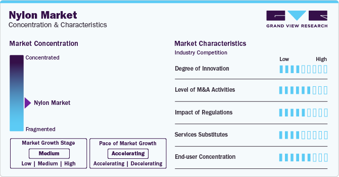 Nylon Market Concentration & Characteristics